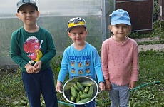 Наш первый урожай