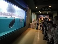 Знакомство с подводным миром: воспитанники центра посетили Москвариум