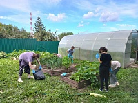 Ухаживаем за огородом