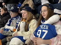 Все на хоккей!