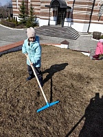 Любим свой дом