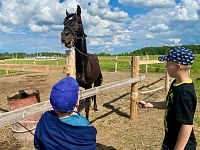 В гостях у детского конно-досугового центра «Лучик Добра»