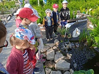  Малыши посетили строительный рынок, несколько его павильонов, и окунулись в мир садовых растений