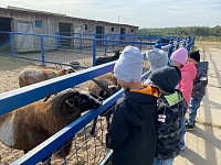 В гостях у пушистых и пернатых друзей