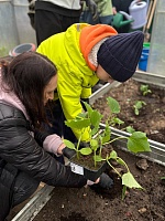 Огород - кормит весь год!