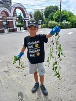 Борьба с сорняками