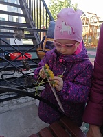 Яркие идеи для прогулки: львята из одуванчиков!