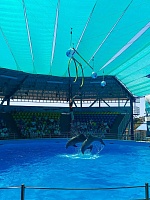 В гостях у морских звёзд!