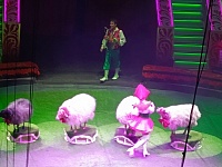 Московский цирк Никулина.