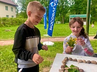 До свидания, лагерь!