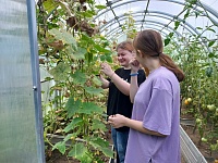 Ухаживаем за огородом