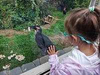 Один день в Московском зоопарке