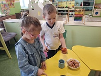 Лук - наш друг!