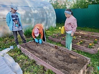 Огород - кормит весь год!