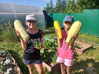 Лето - урожайная пора!
