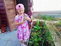 Лето - урожайная пора!