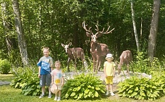 Отдых наших дошколят