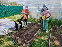 Огород - кормит весь год!