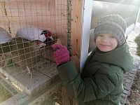 Участие в экологической акции "Покорми птиц зимой"