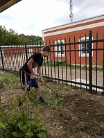 Борьба с сорняками