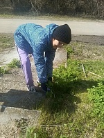 День Весны и Труда