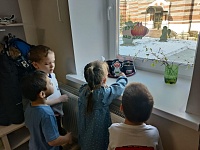 Лук - наш друг!