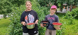 Полезные витамины