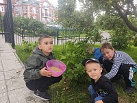 Наш первый урожай