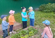 Наш первый урожай