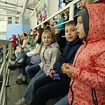 Ледовое шоу