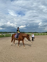 В гостях у детского конно-досугового центра «Лучик Добра»