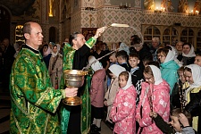 С Вербным воскресеньем!