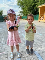 Собираем урожай с домашнего огорода!