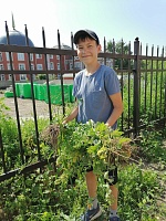 Борьба с сорняками