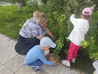 Наш первый урожай