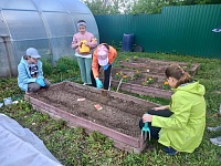 Огород - кормит весь год!