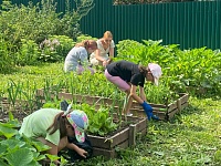 Борьба с сорняками